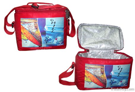 Cooler Bag