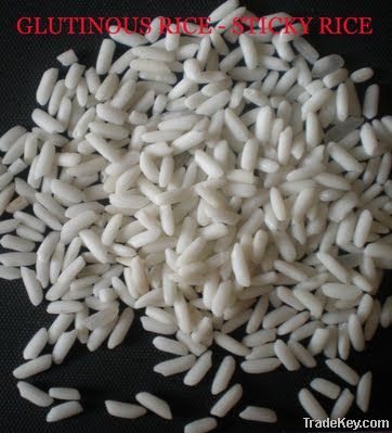 Glutinous rice