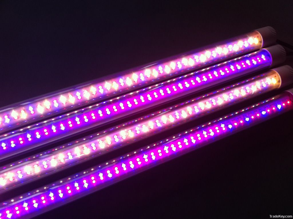 T8 LED grow light