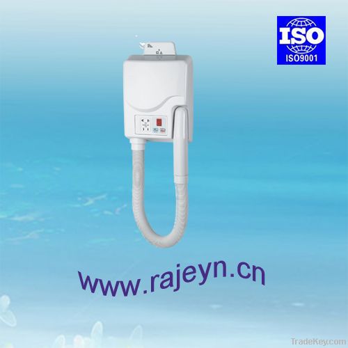 Rajeyn High Qualified Electric Hair and Skin Dryer (Dual)