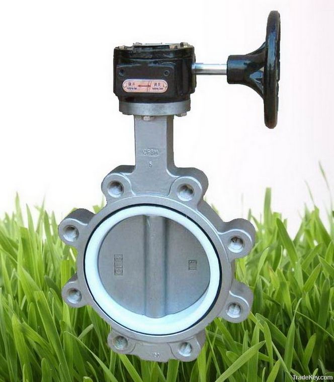 Stainless Steel Worm Lug Butterfly Valve With Teflon Seat