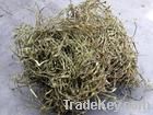 White Willow Bark Extract