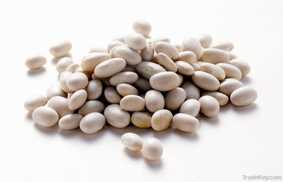 White beans