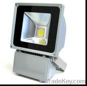 LED Floodlight