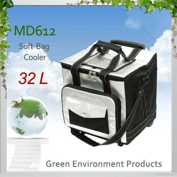 folding cooler bag