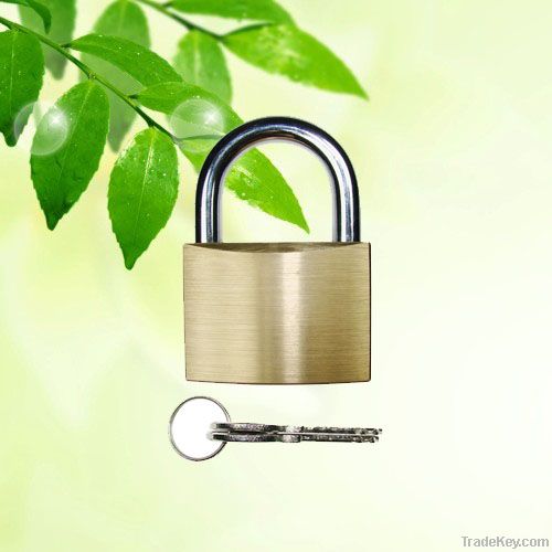 thin padlock