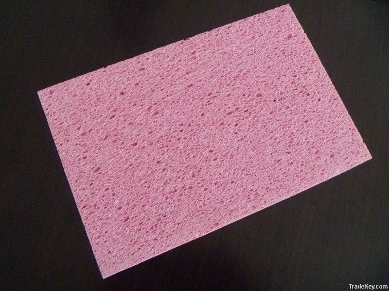 cellulose sponge foam