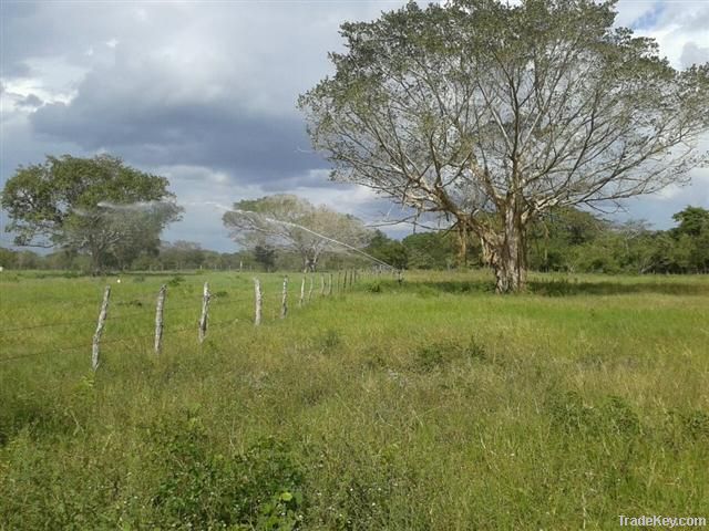 Rancho Ganadero en venta en Yucatan Mexico