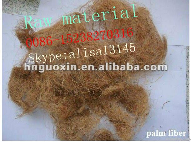 High efficiency palm fiber dryer in Malaysia