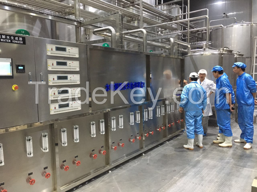 Alkalescent Electrolytic Water Production Line