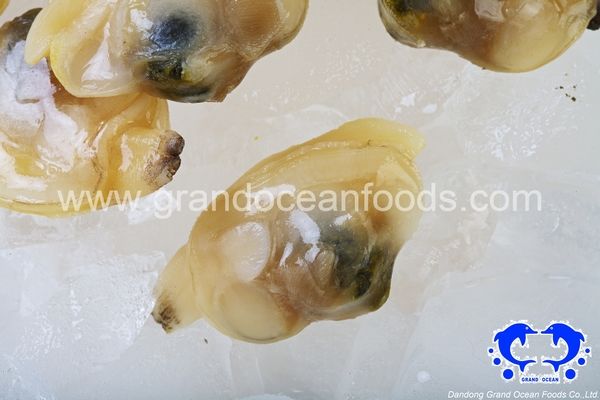 Frozen Boiled Baby Clam Meat