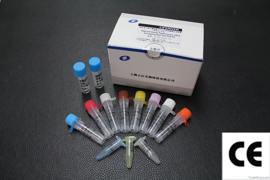 HPV 16&18 Real Time PCR Kit