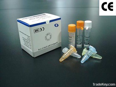 HCV Real Time RT-PCR Kit