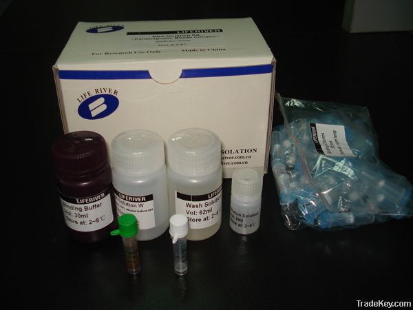 RNA Isolation Kit