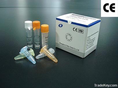 MRSA Real Time PCR Kit
