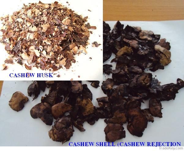 sell cashew shell rejection