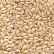 sesame seeds