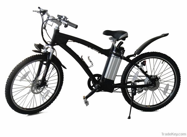 electric bicycle