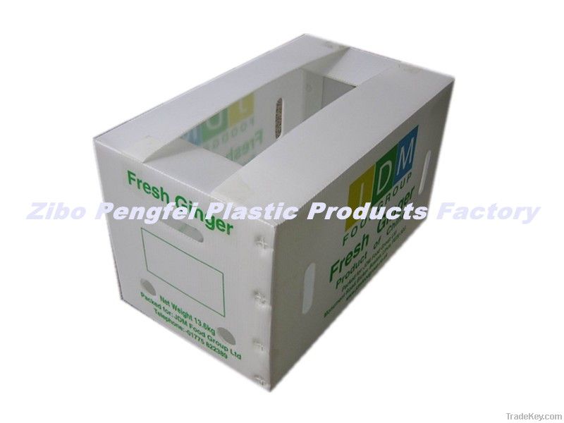 Agricultural products exporting use packing  container made of pp corrugated sheet.