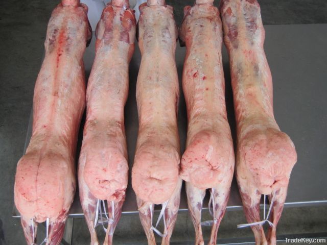 Fresh frozen whole lamb carcass with tail fat