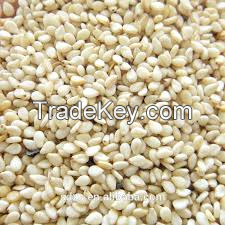 SESAME SEEDS