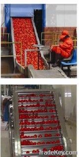 tomato paste(ketchup)production line
