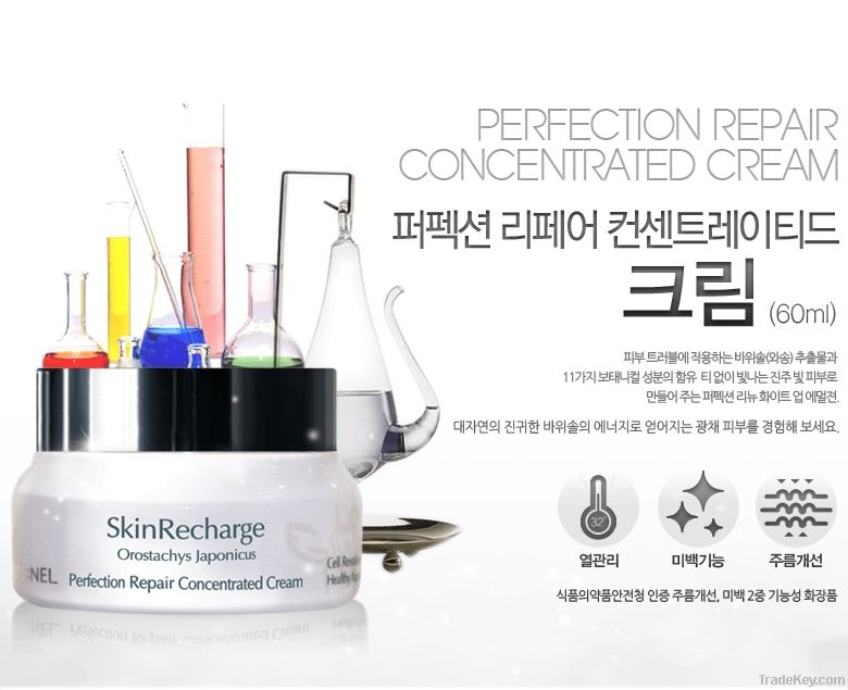 Perfection Repair Concentrated Cream