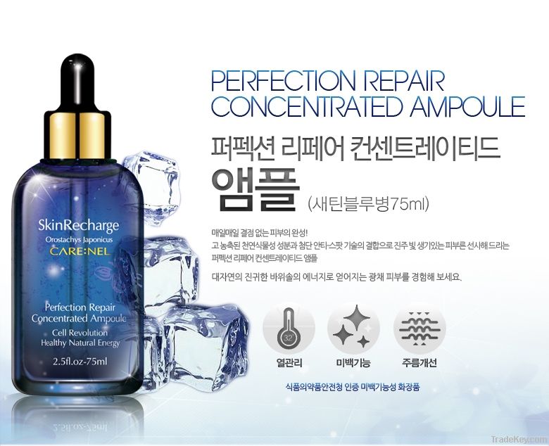 CARE:NEL Perfection Repair Concentrated Ampoule