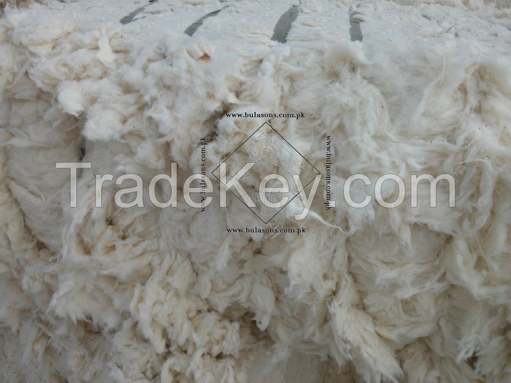 Cotton Comber Noil