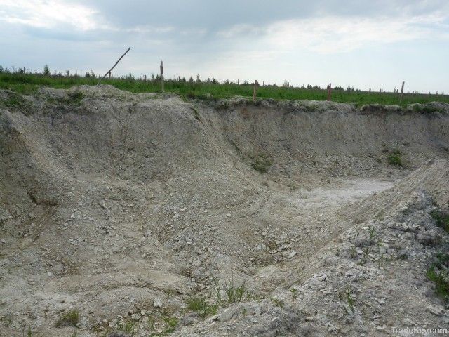 Diatomite (SiO2)