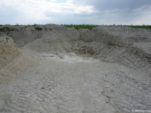Diatomite (SiO2)