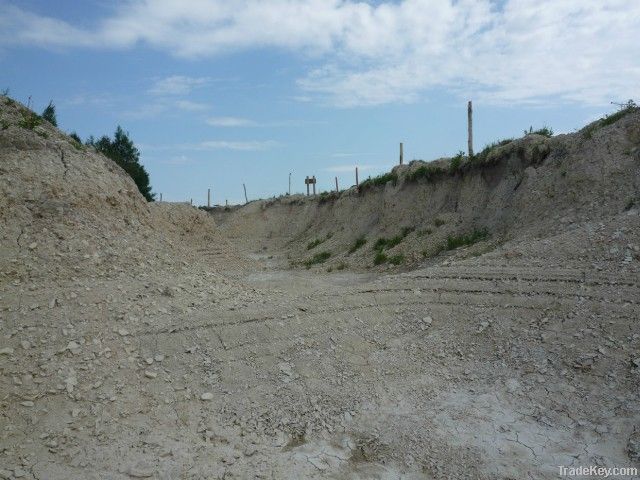 Diatomite (SiO2)
