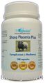 Sheep Placenta Plus