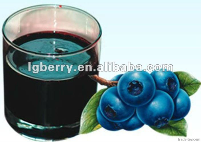 Wild pure blueberry juice concentrate (65bix)