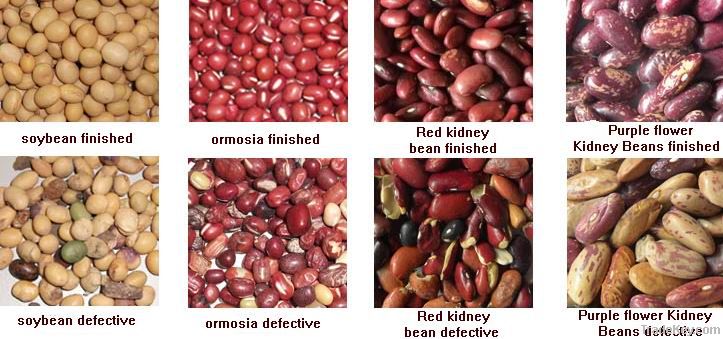 CCD beans color sorter