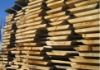 Ukraine Raw Flat Solid Wood Maple Board