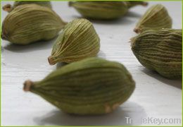 Cardamom