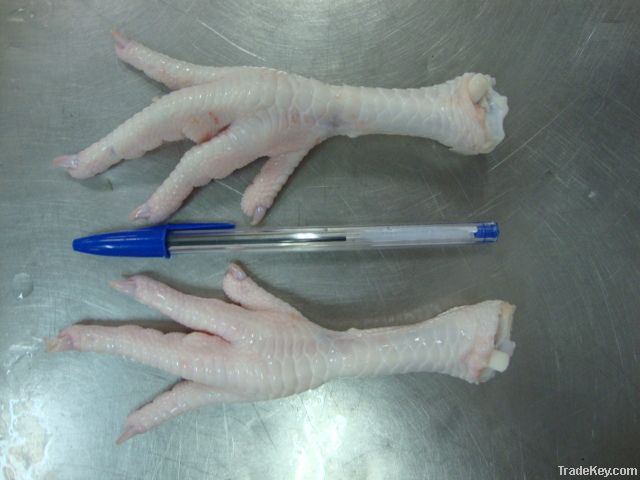  Export Chicken Paw | Chicken Feet Suppliers | Poultry Feet Exporters | Chicken Feets Traders | Processed Chicken Paw Buyers | Frozen Poultry Paw Wholesalers | Low Price Freeze Chicken Paw | Best Buy Chicken Paw | Buy Chicken Paw | Import Chicken Paw | Ch