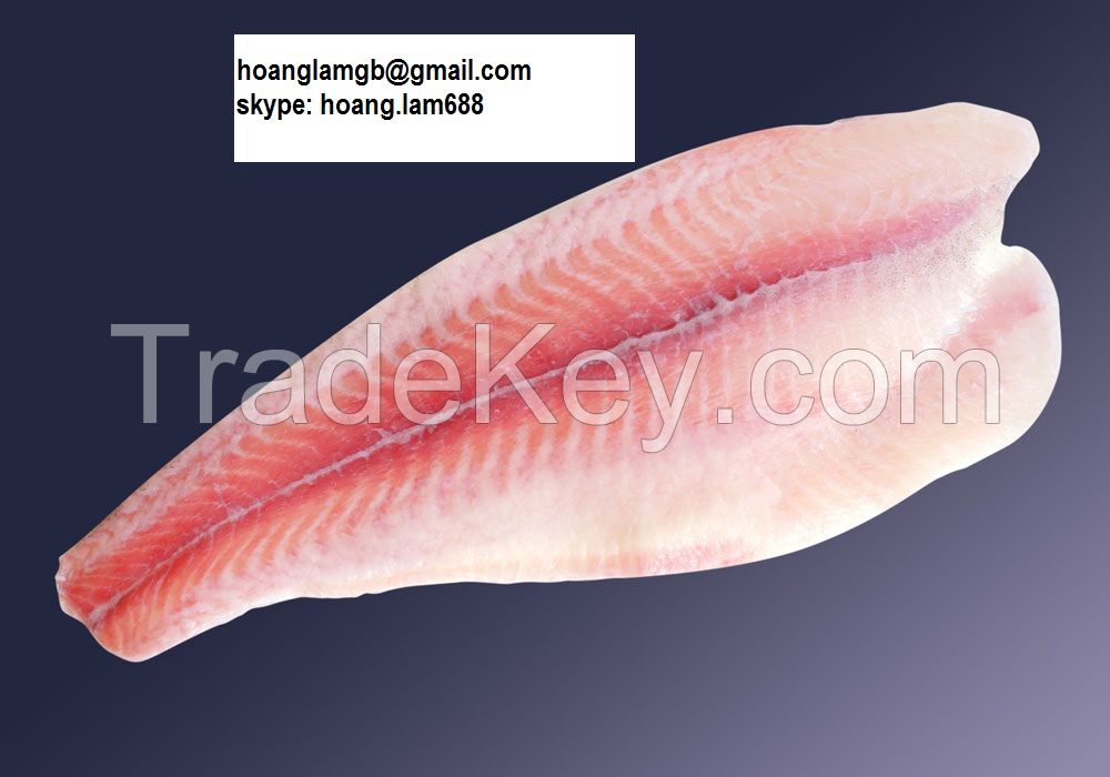 pangasius fillet untrimmed