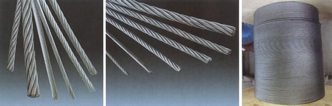 Galvanized Steel Wrie Rope