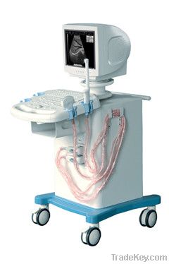 CX9002 digital ultrasound scanner