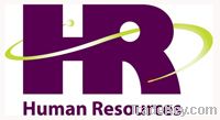 Human Resource Management Software