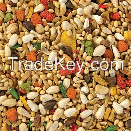 Premium Dried Seeds