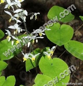 Epimedium Extract