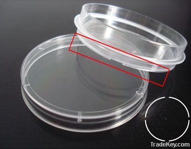 100-mm disposable petri dish with easy-grip brim