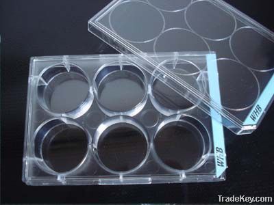 6-well Easy-distinguish Cell Culture Petri Plates