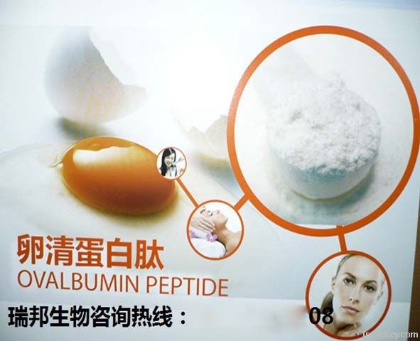 Ovalbumin Peptide