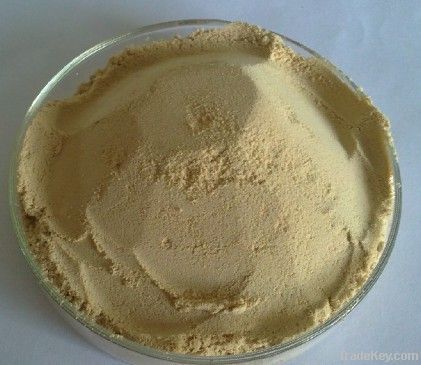 Seaweed Extract Powder