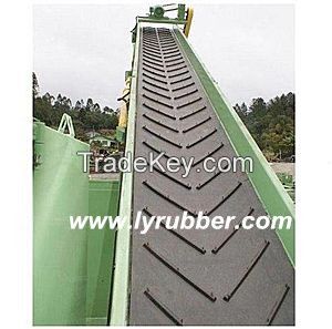 Longyuan Pattened Conveyor Belt