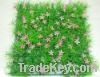 Artifical Grass Mat with Flower